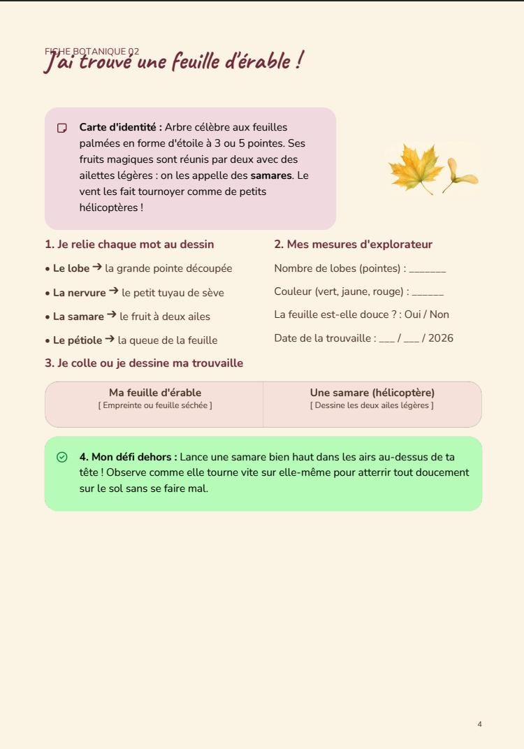 Printable Kids' Herbarium PDF Nature Activity, Montessori, Forest Botanical Activity Book, Educational Craft in French